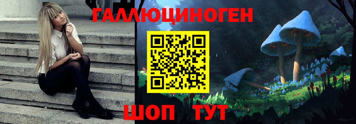 купить наркоту  Вход с VPN  Гагарин  Галлюциногенные грибы MAGIC MUSHROOMS  Псилоцибиновые грибы мухоморы 